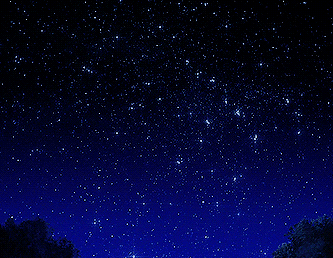 Sport & Comping Bags